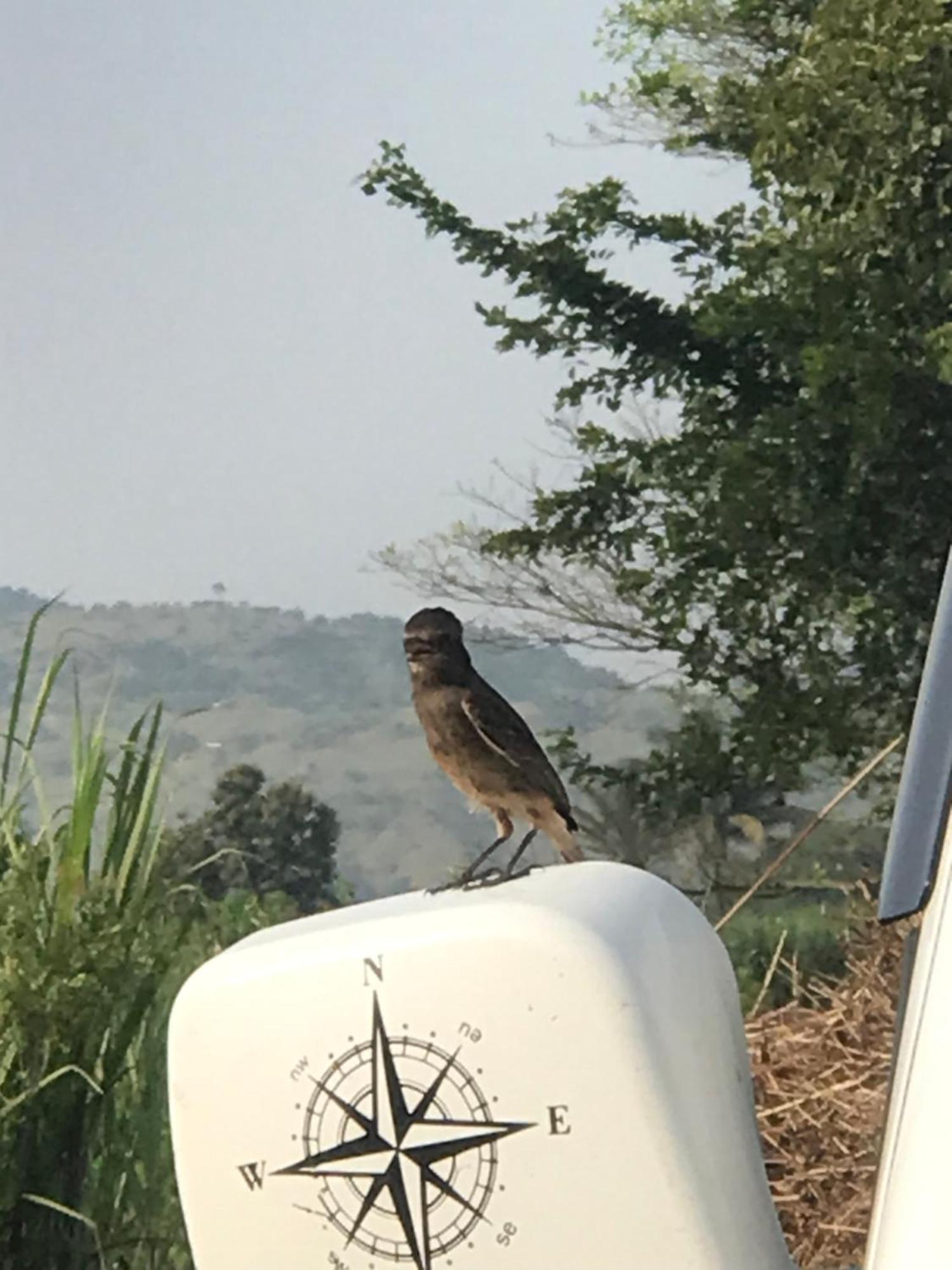 Ingawale Farmhouse Satara Zewnętrze zdjęcie